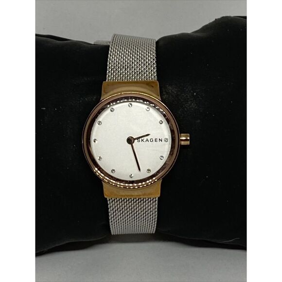 Skagen SKW1101 Women\'s stainless steel Mesh Analog Dial Quartz Wrist Watch JK636 main image 5